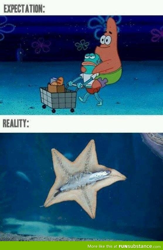 Spongebob Expectation vs. Reality