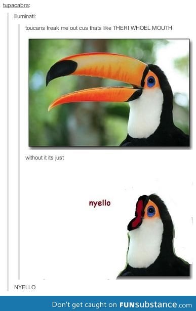 Toucans without their mouth