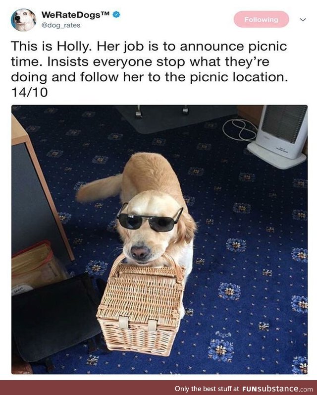 Lead the way, Holly