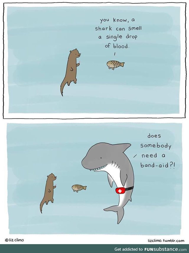 Shark medic