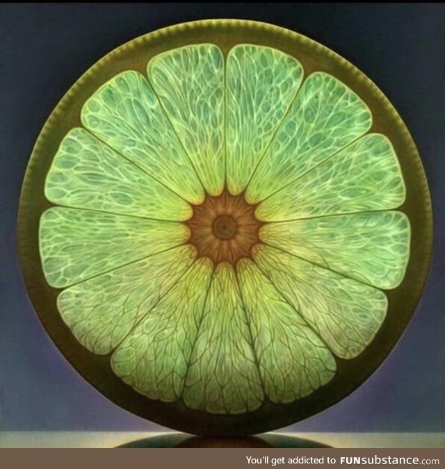 This slice of a lime