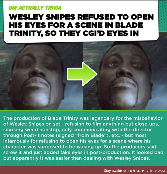 Sure the Blade Trilogy was good but Wesley Snipes was a passive aggressive ass
