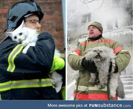 Cat from Denmark vs. Cat from Russia after being saved from a fire