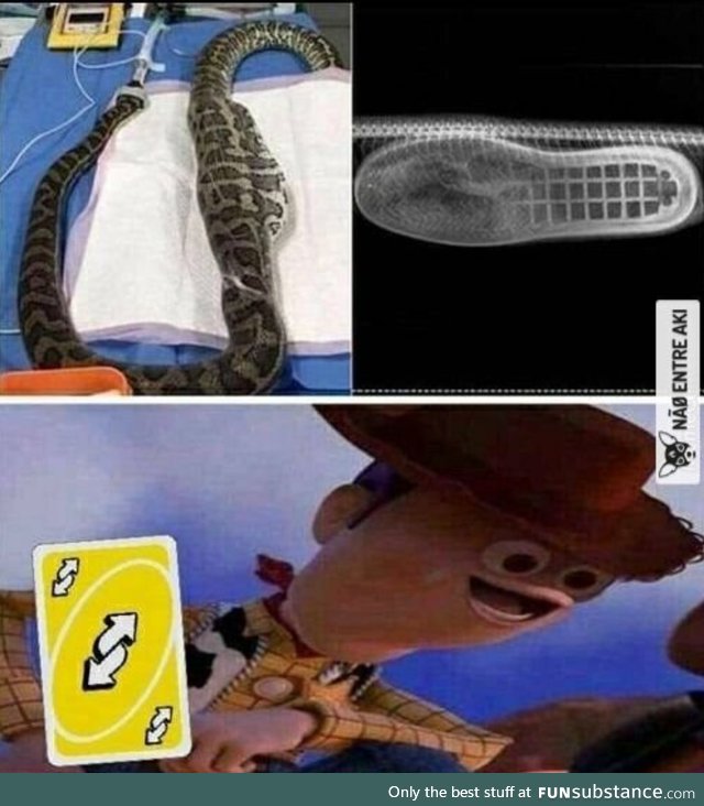 Theres a boot in my snake