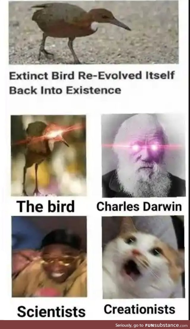 Evolution has found is way
