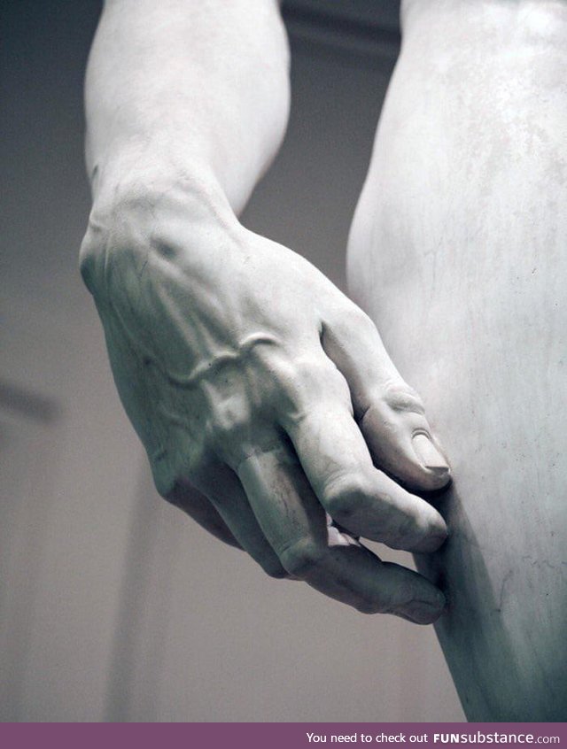 The details of the hand of David by Michelangelo. The marble statue was completed in