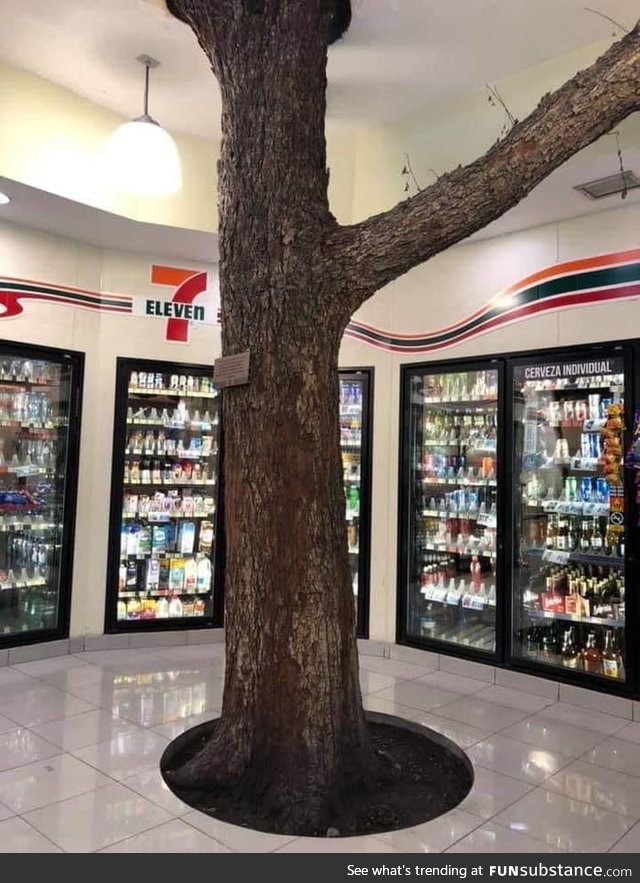 This 711 in Mexico was built around a tree