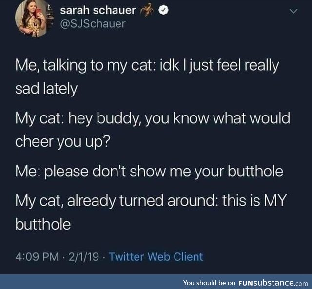 Can cat owners confirm?