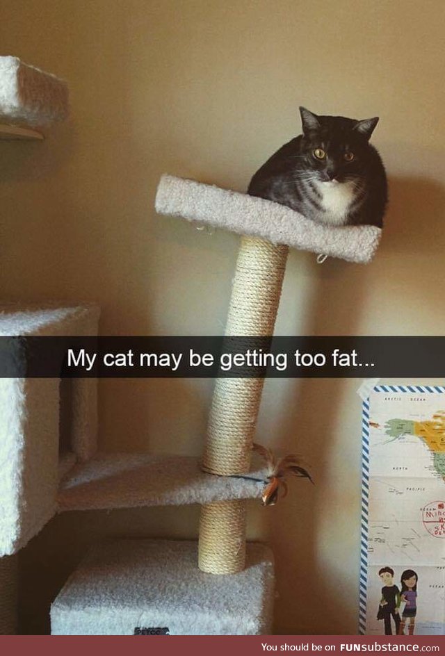 Chonk