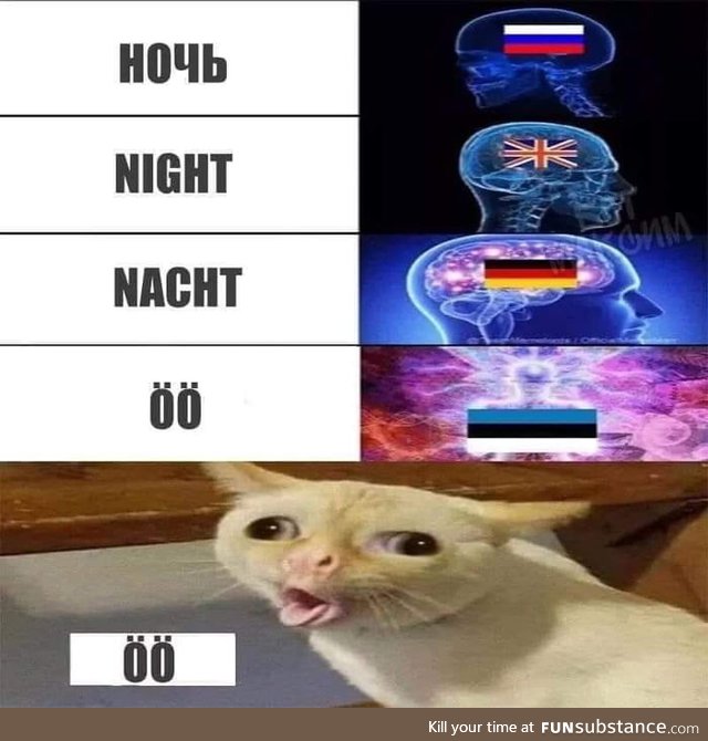 Estonians every night