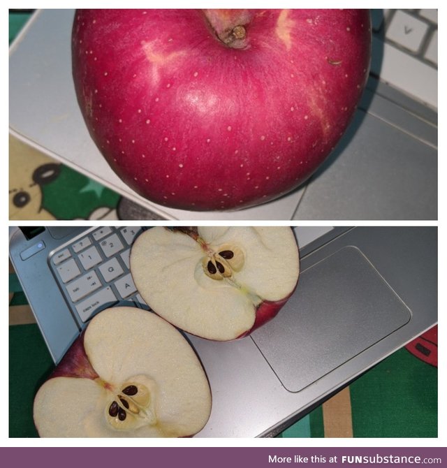 I just found out I can actually rip apple in half.