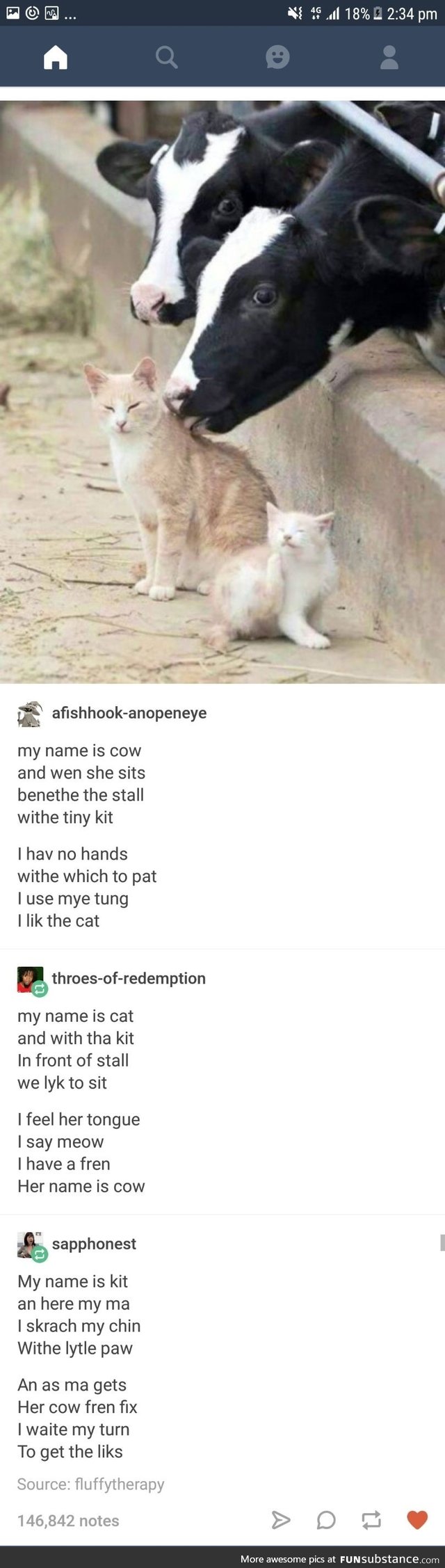 My Naem Is Cow