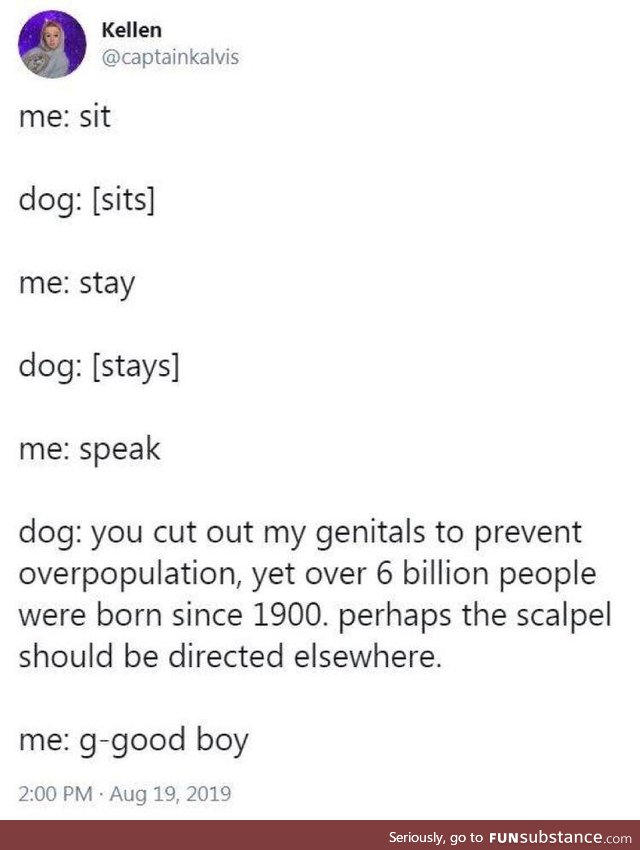 If dogs could talk