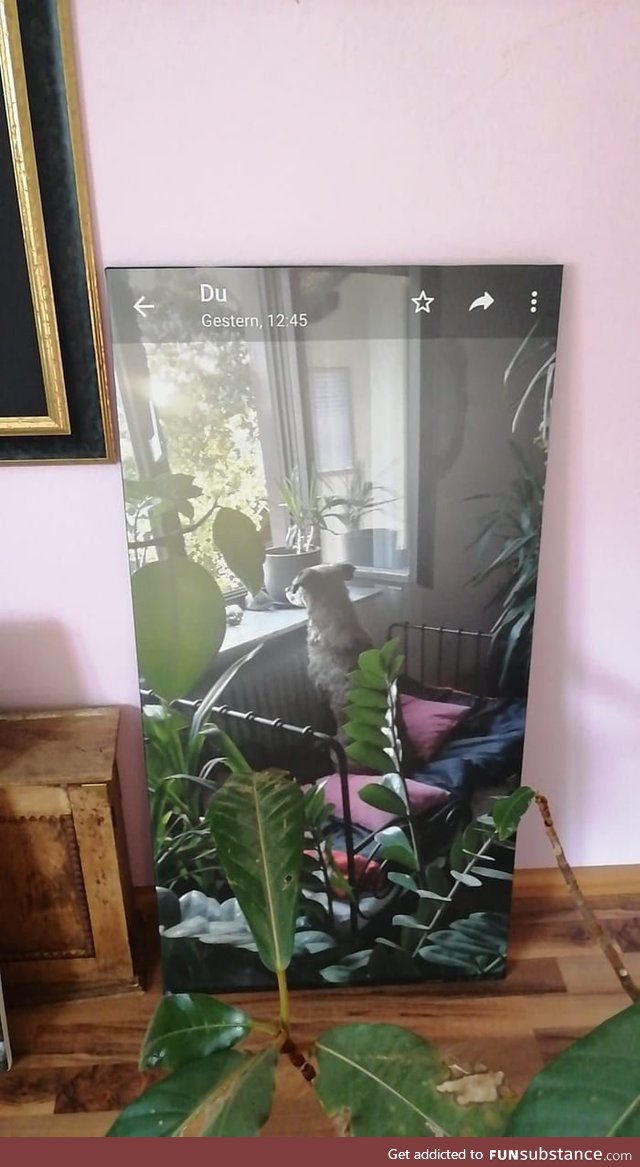 So my mother ordered a poster of our dog