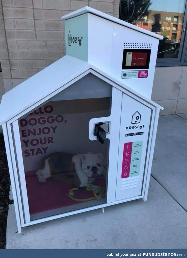 This dog in a Dogspot. An air conditioned, comfortable spot you can leave your dog in
