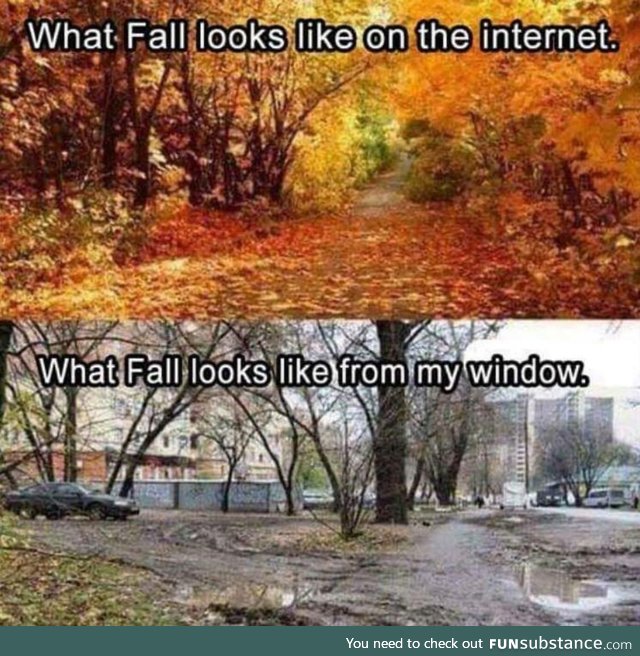Fall - world wide web vs reality