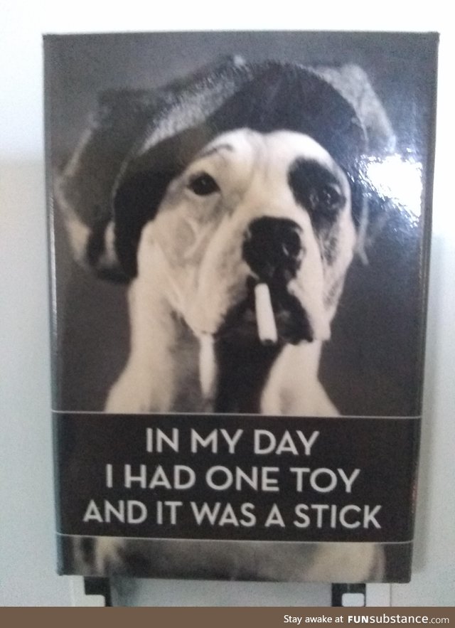 Found this in a sign store, thought it was funny af and had to buy it. Feel like the dog