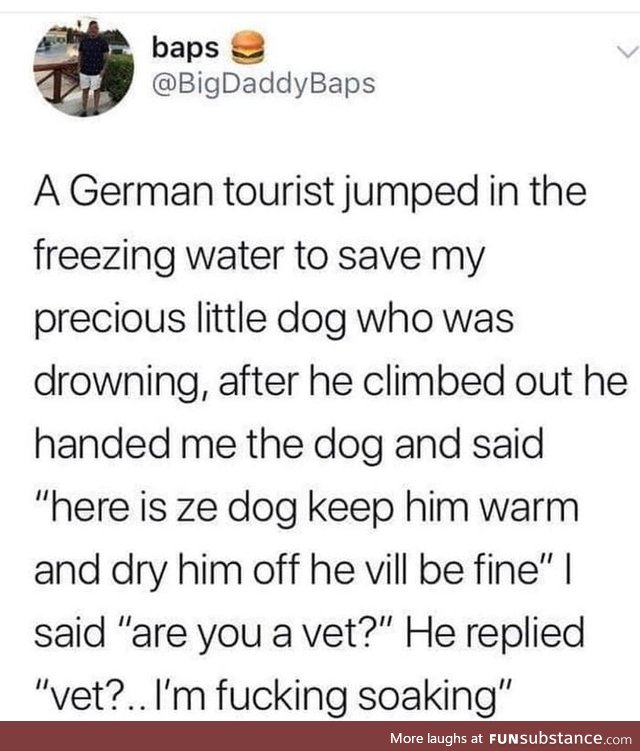 A german saving a little dog