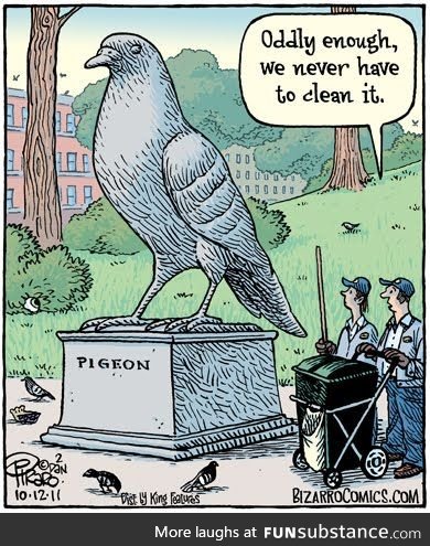 Pigeons recognizes pigeons