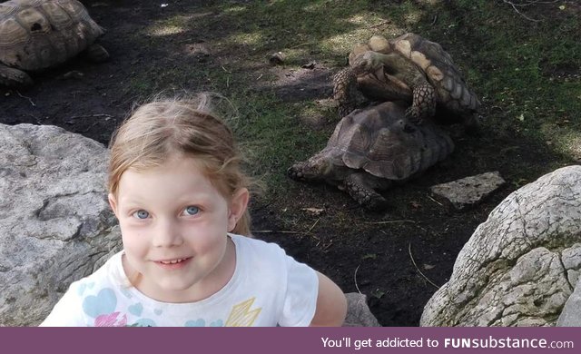 Took my daughter to the zoo and she wanted a picture with the "dancing turtles"