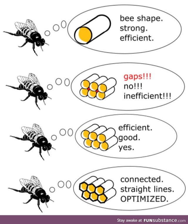 If we could only optimise the code as easily as bees