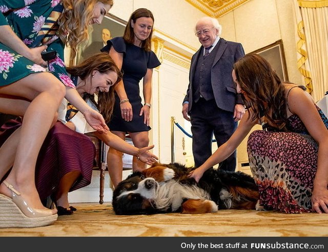 The Irish president love when people pets his dogs