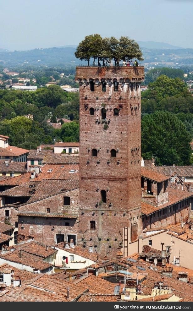 Guinigi Tower  Lucca, Tuscany