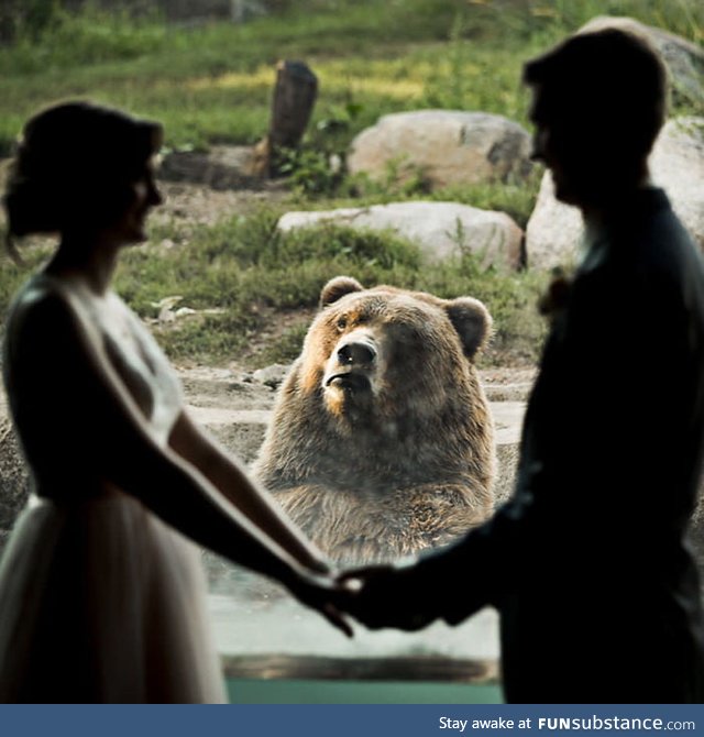They got married at the Zoo And this bear had an interesting first look reaction