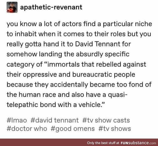 David Tenant and the Oddly Specific Niche