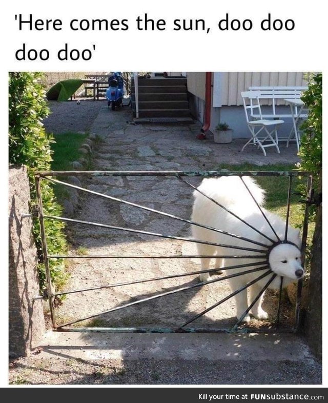 Doo