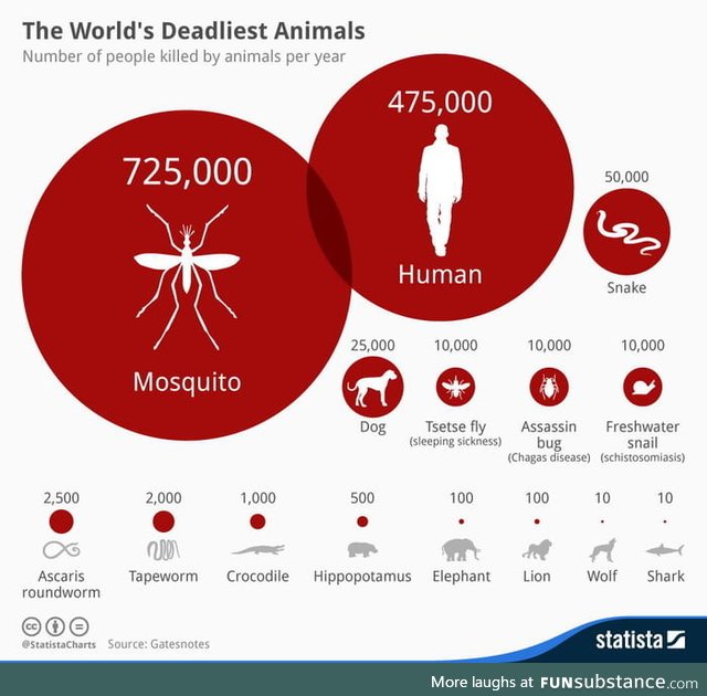 Deadliest animals on the planet
