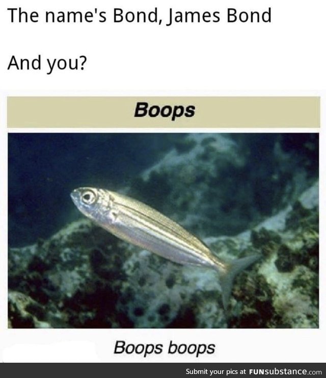 The Name Is Boops. βόωψ boōps.