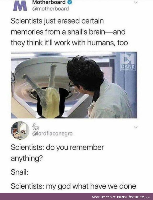 Snail's memory erased, Does this mean that we are free now?