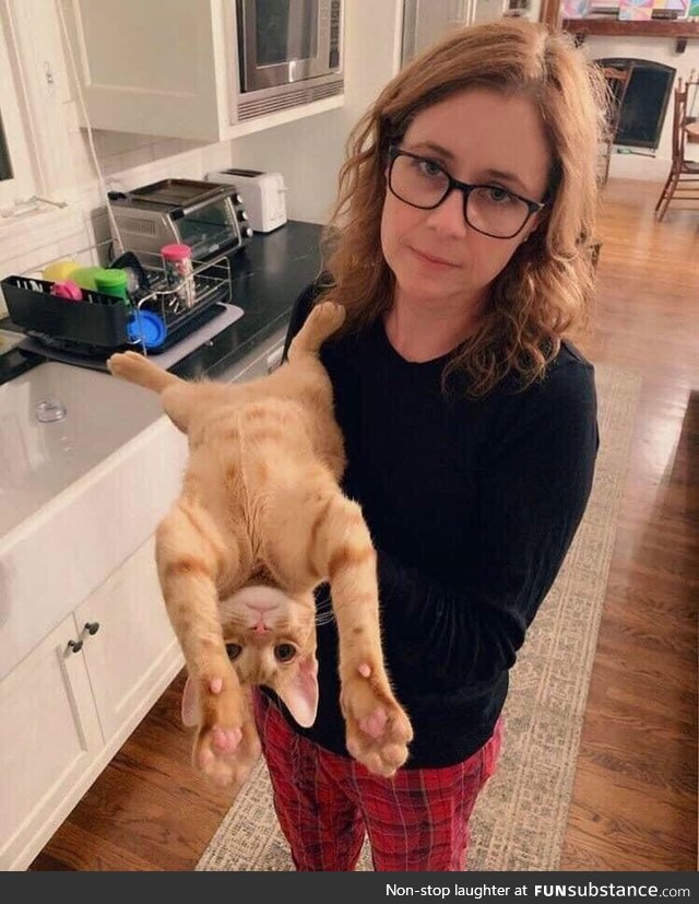 Jenna Fischer And Her Cat Funsubstance