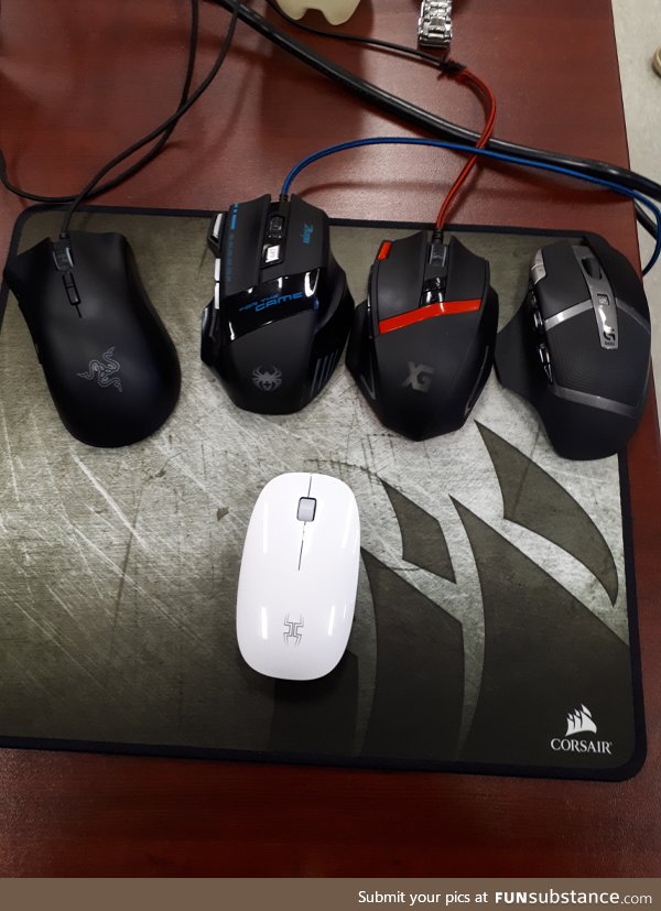 My mouse VS my classmate's mice
