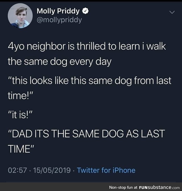 Same dog