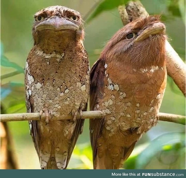 I don’t know a lot about birds, but I think this couple had an argument