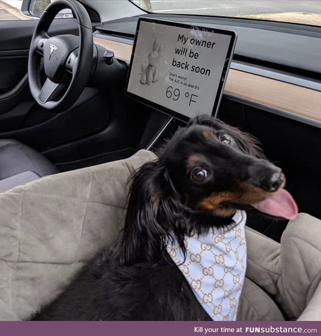 Tesla cars are designed with a dog mode display that indicates the interior temperature