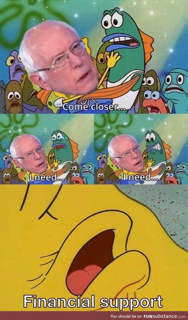 Feel the Bern