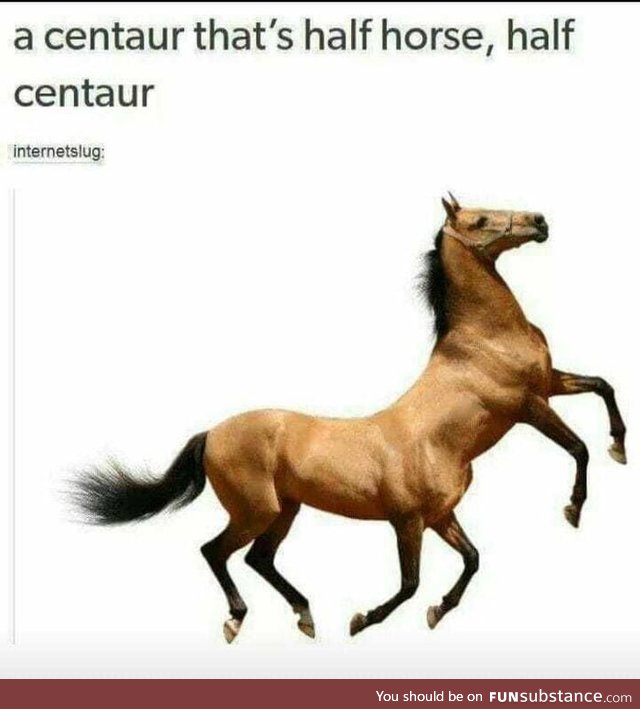 Half horse half centaur