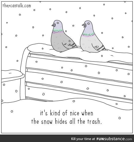 Winter wonderland is for the birds