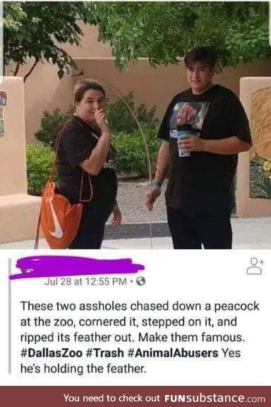 PeaCOCKS