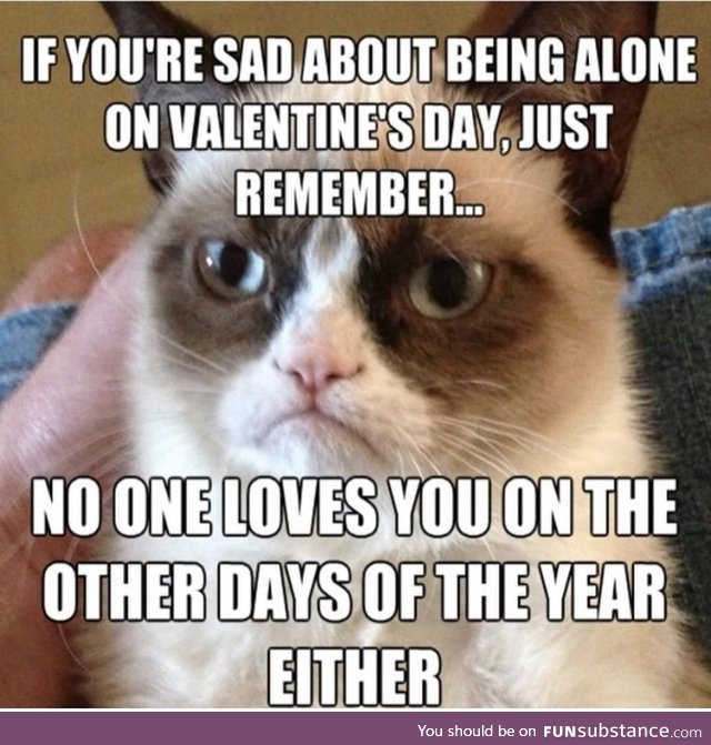 No Valentine's day date? Look on the bright side