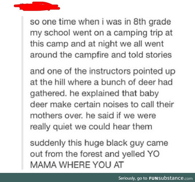 Not your average Yo Mama joke, deer