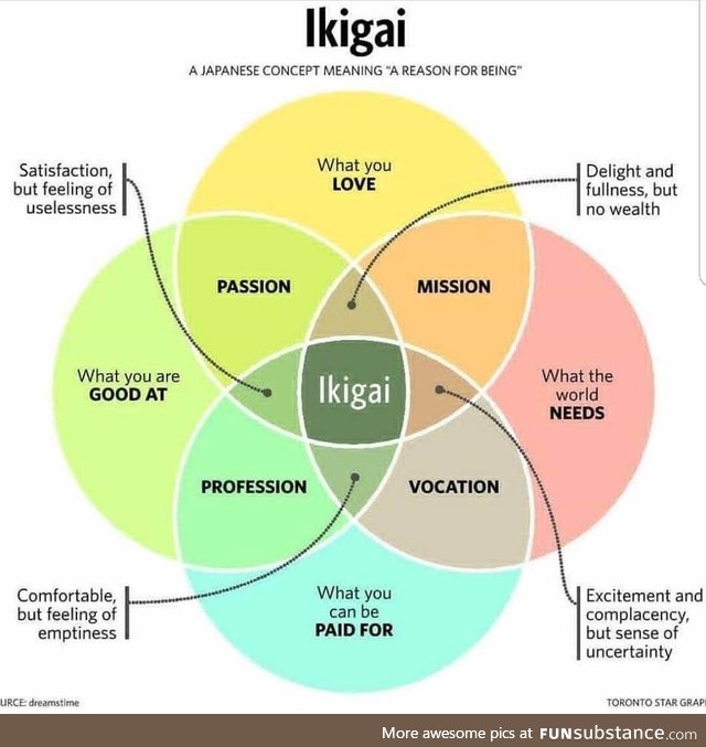 Ikigai is life