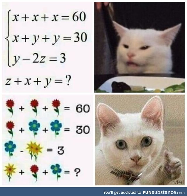 Algebra lessons