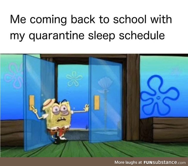 What is this "sleep schedule" you speak of?