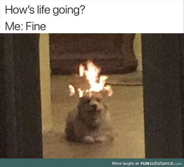 This is FINE
