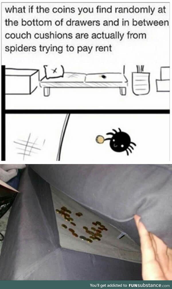 Kind spider