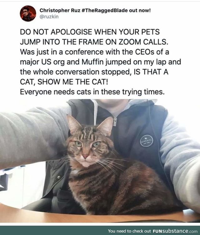 Don't apologize for pets